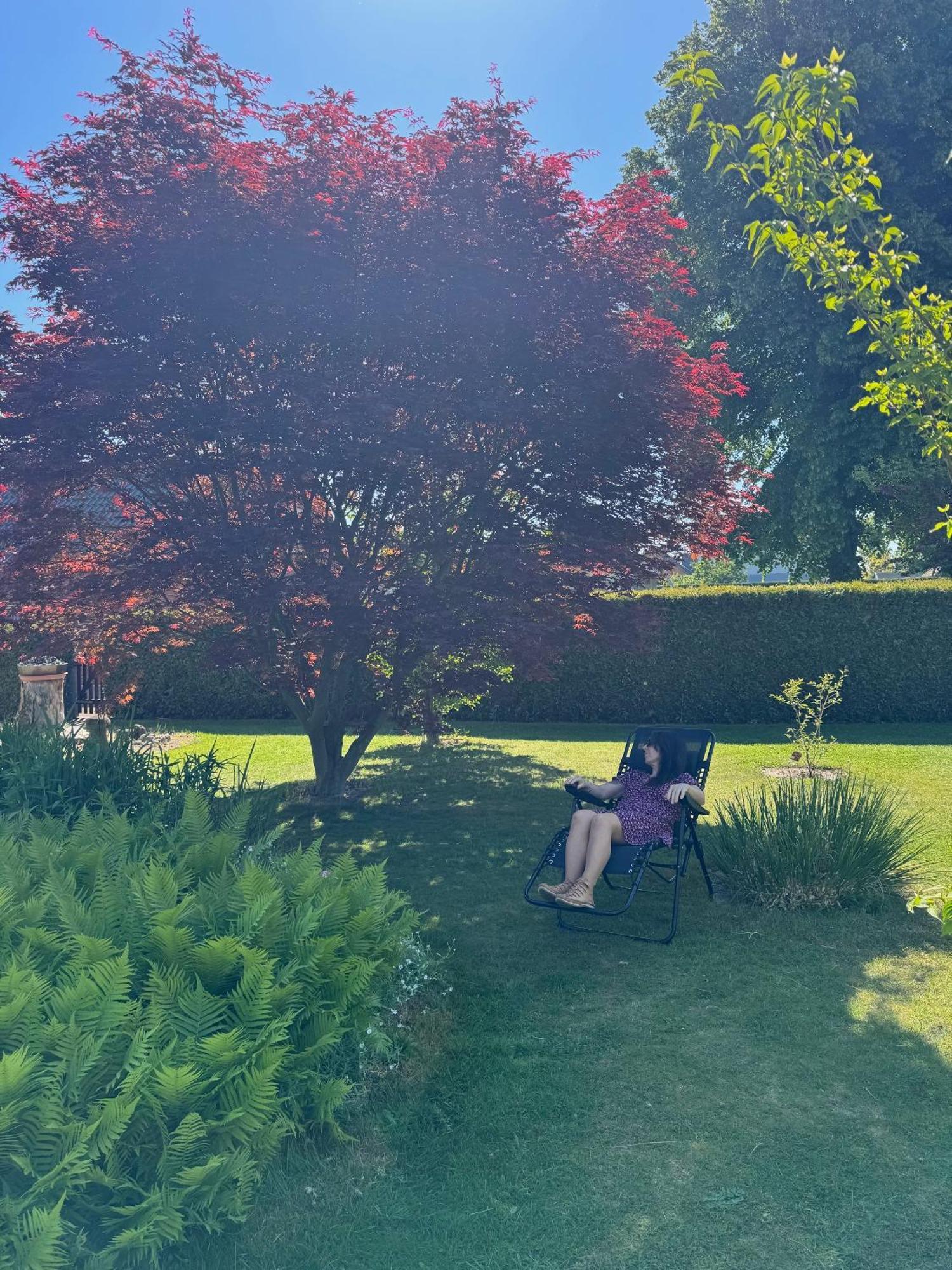 Ferien-Whg Moewe Nahe Steinhuder Meer Mit Garten Und Balkon Hagenburg Extérieur photo
